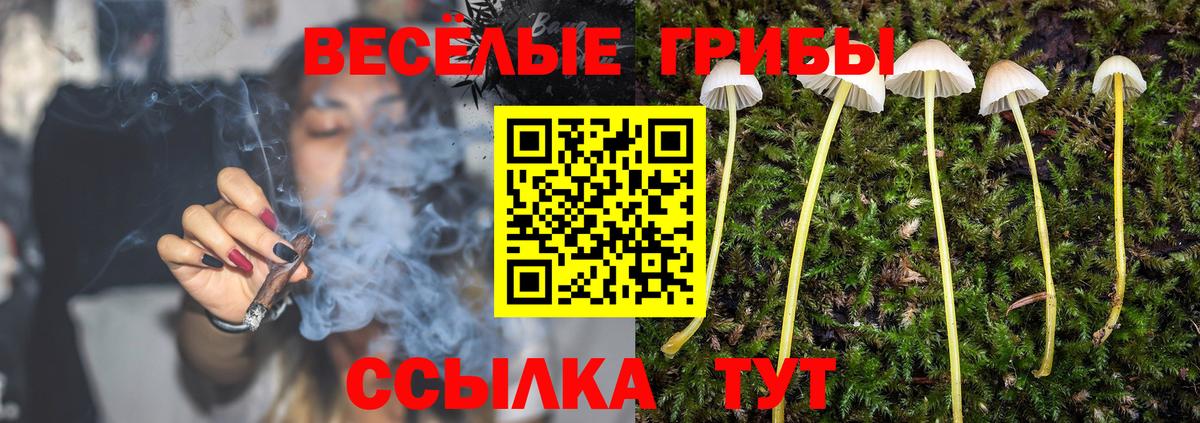 Людиново  Галлюциногенные грибы мицелий  Вход с VPN 